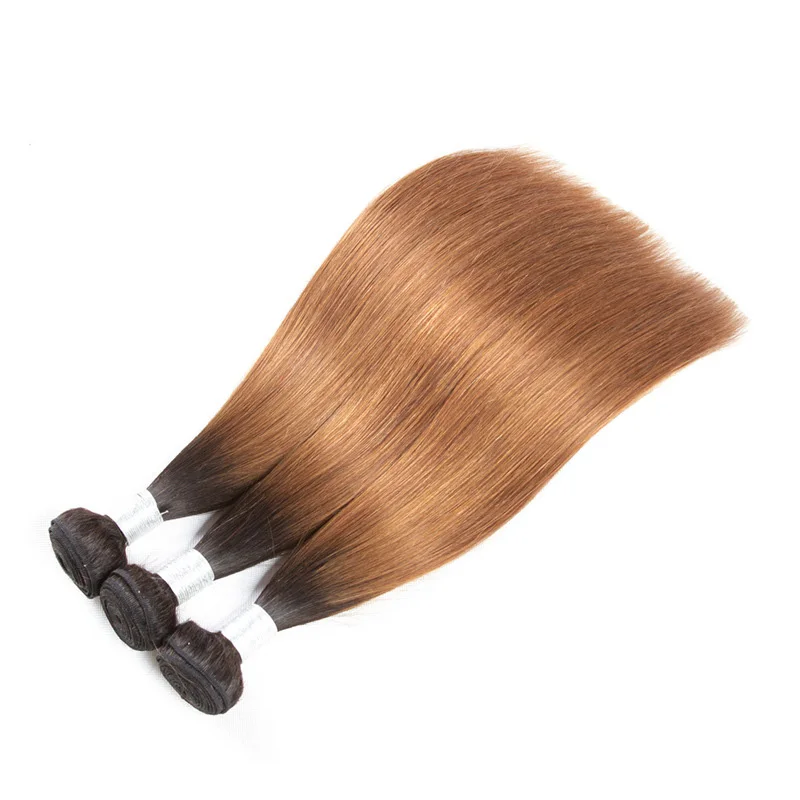 

HW01-B3 Spot supply Wholesale human Hair Curtain Hair Bundles Gradient Bicolor 100g 8-26inch Silky Straight human Hair Weave