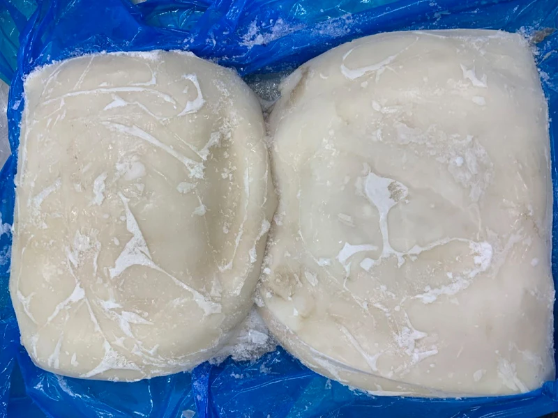 giant squid fillet 3.jpg