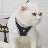 Soft factory direct pet traction rope back-core strong reflective chest strap luminous suit fashion pet premium collar