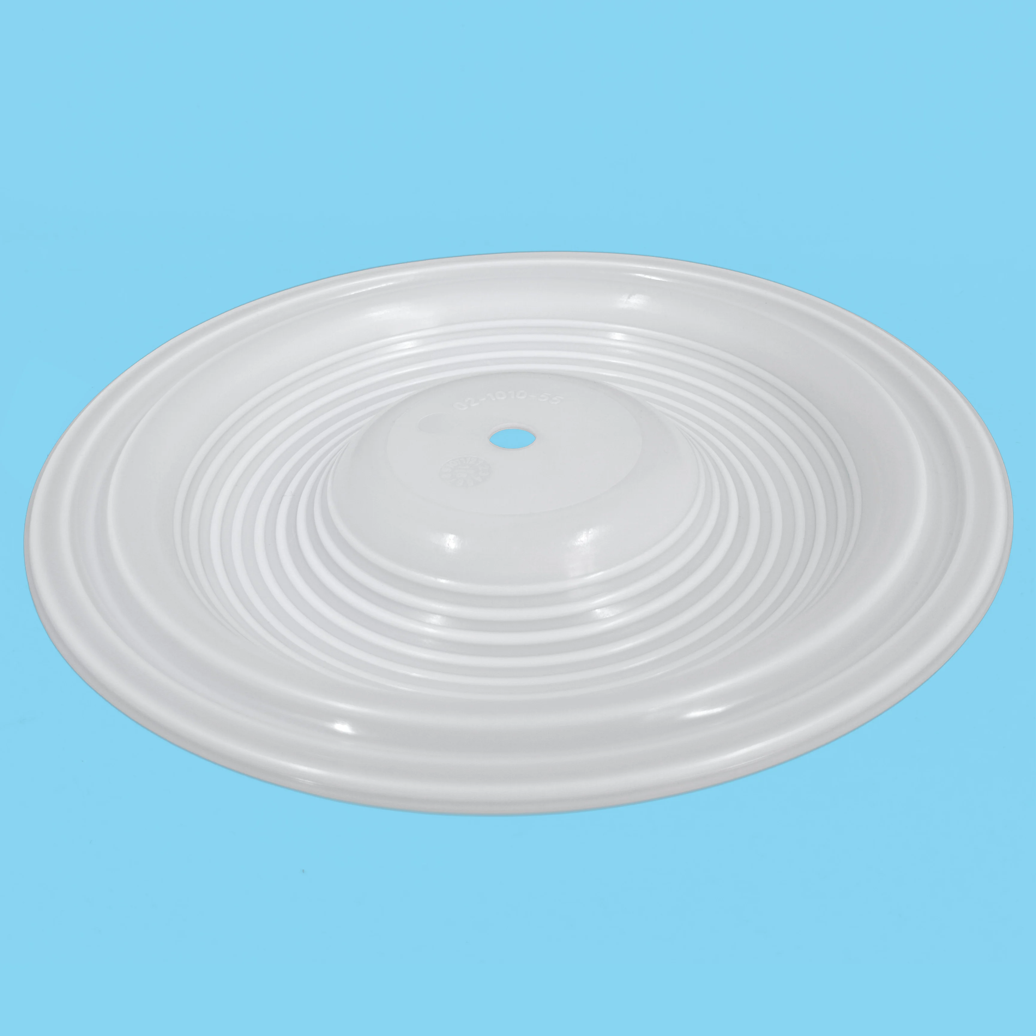 CF02-1010-55 Diaphragm details