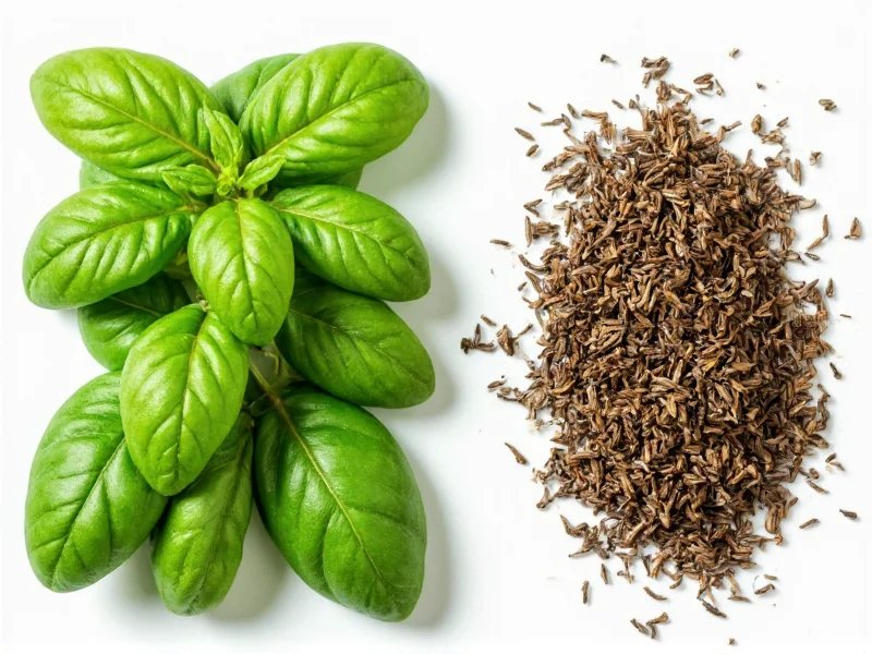 Fresh Basil to Dried Conversion: Exact Measurements Guide
