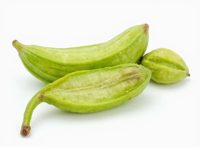 Cardamom Pod vs Seed: Key Differences Explained