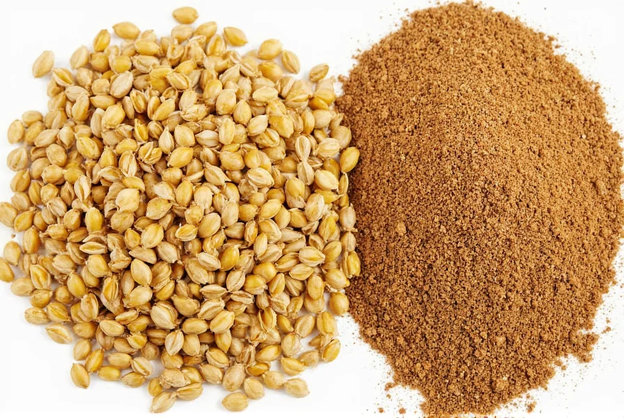 Close-up of coriander seeds next to ground cumin showing texture comparison