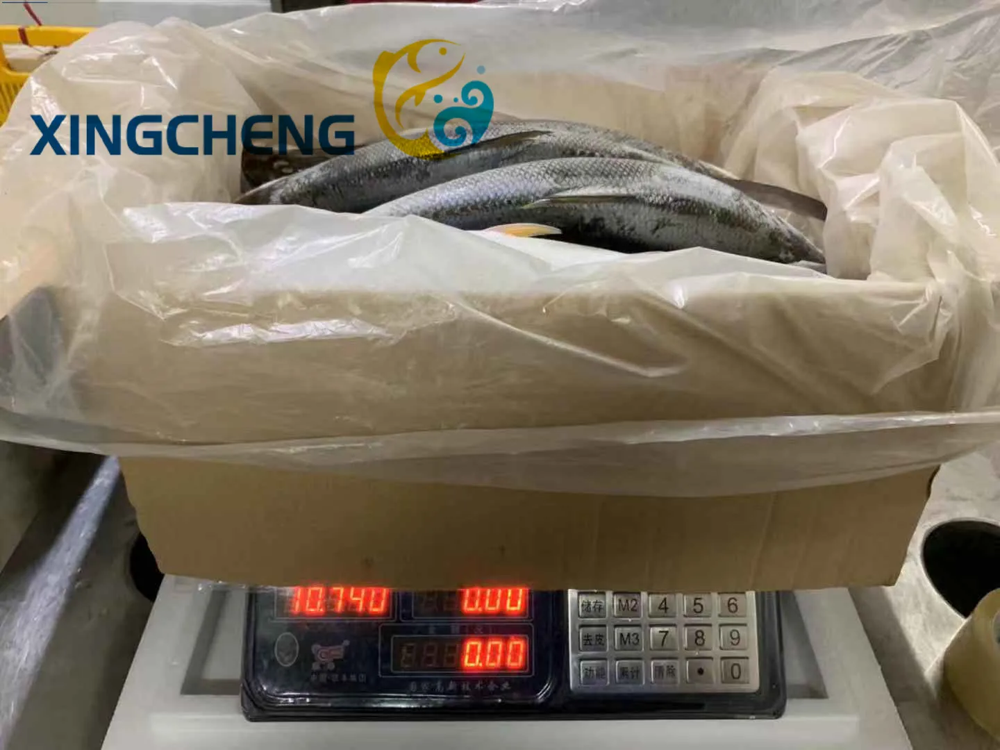 milkfishXingcheng (11).jpg