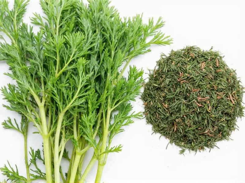 Fresh Dill to Dried Dill: Perfect Substitution Guide