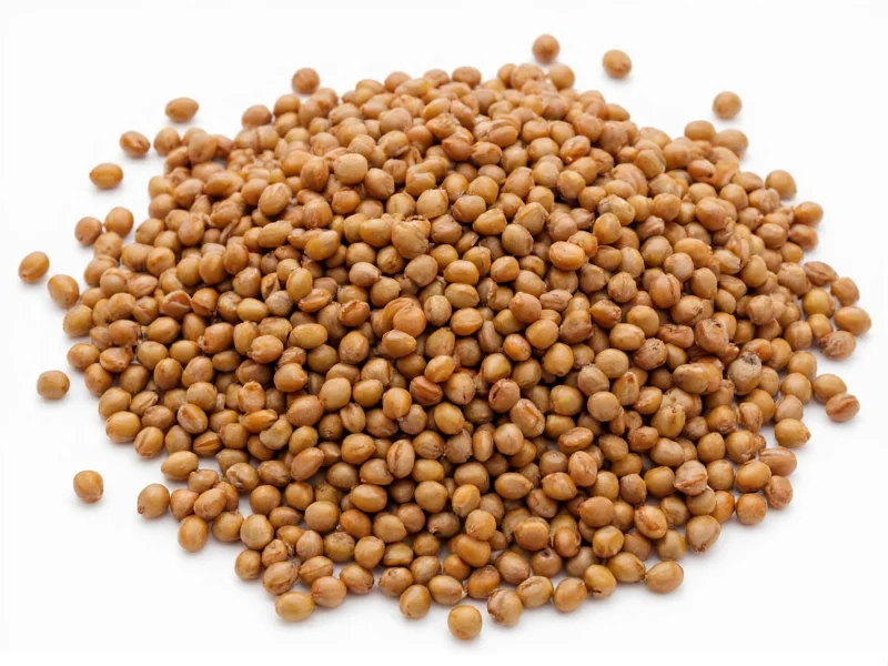 What Is a Lentil? Definition, Types & Nutritional Benefits
