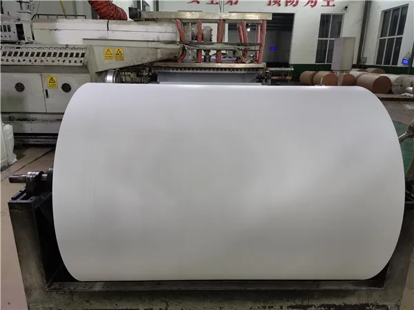 01 PE coated paper03.jpg