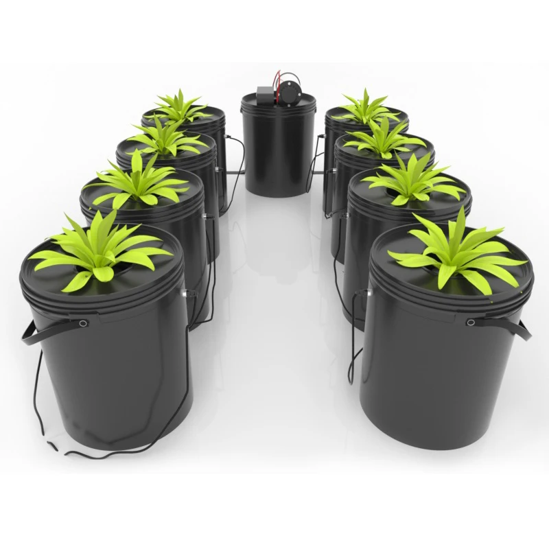 A Dwc Hydroponic Grwoing System Buckets Cloner Kit Pot Buy Hydroponic