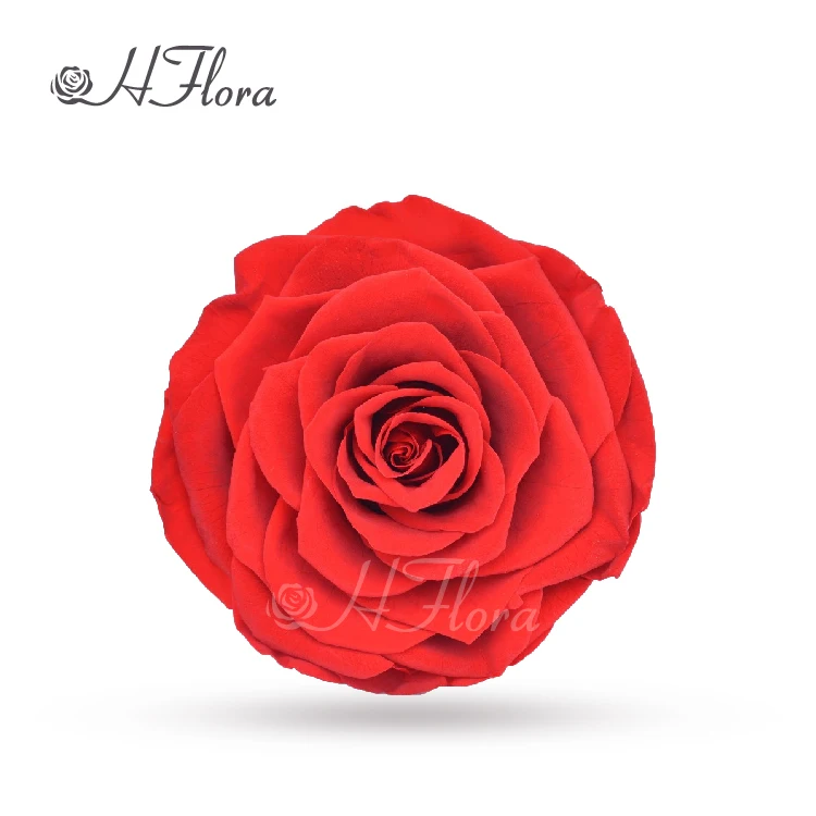 

HFlora Wholesale 9~10 cm 1 Pcs/Box Forever Elegant Natural Single Color Preserved Rose Head With Box For Valentine's Day