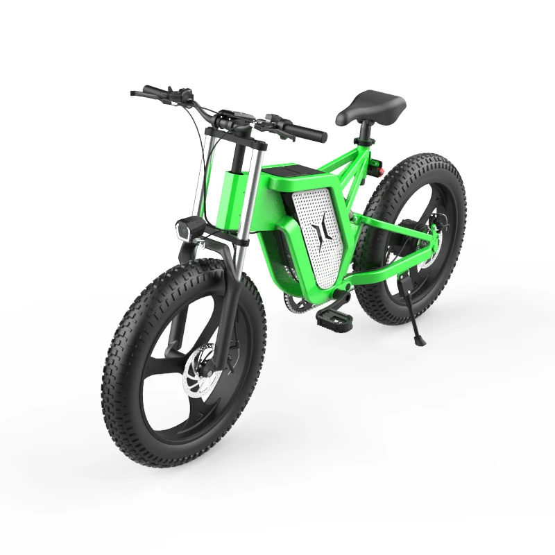 

long range bicycles New style two seat electric bicycle ebike two wheels electric bicycle for 2 people, Green