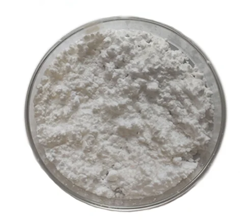 paste-pic-dp_uuid_pjqg6