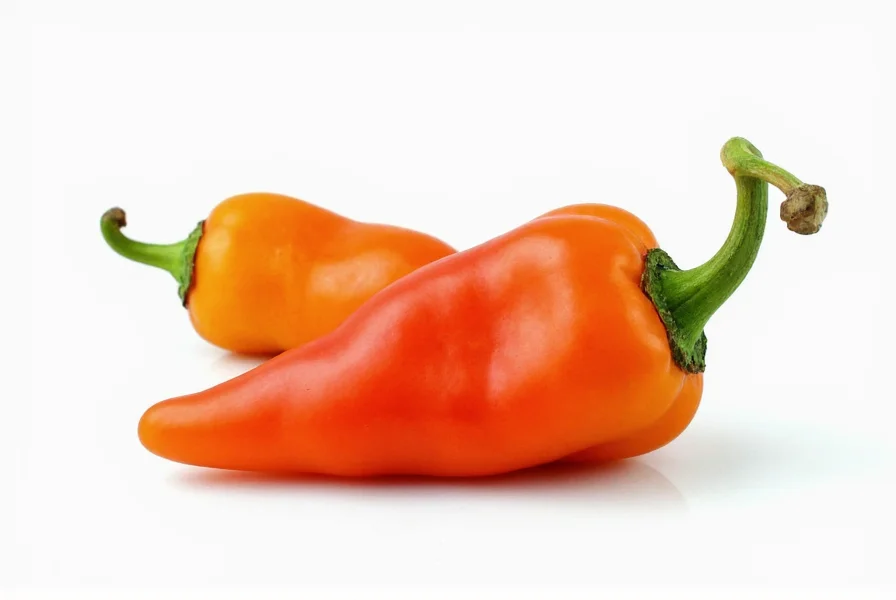 Habanada Pepper: The Non-Spicy Habanero Alternative Explained