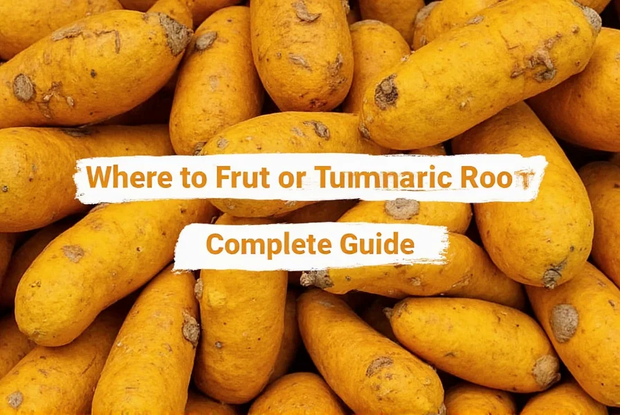 Where to Find Fresh Turmeric Root Near You: Complete Guide