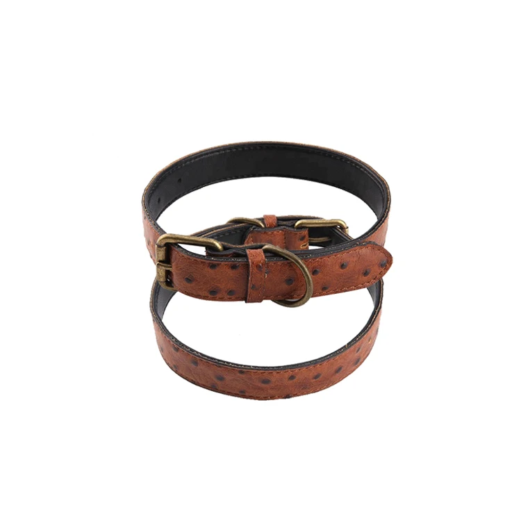 leather training collar