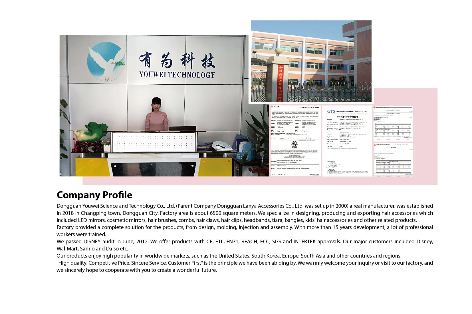 Company profile