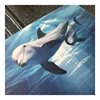 3D floor art plan software free for bathroom use