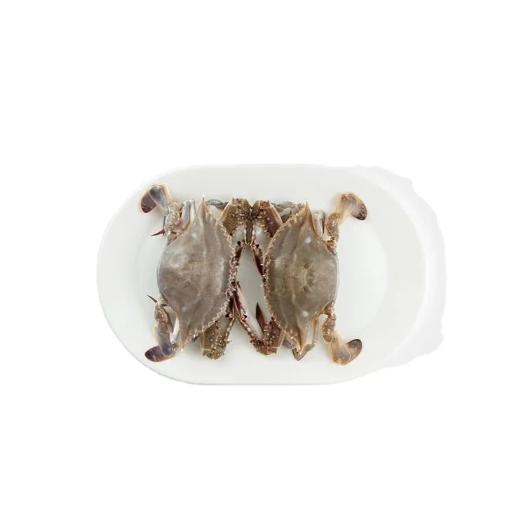 
Low Price Guaranteed Quality Frozen Blue Crab Trituberculatus Portunus 