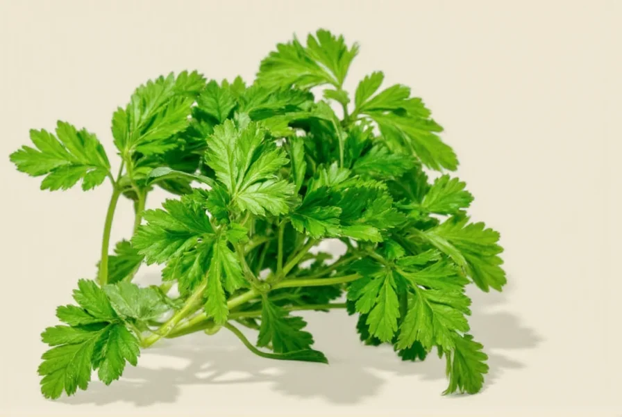 Platter of parsley recipes
