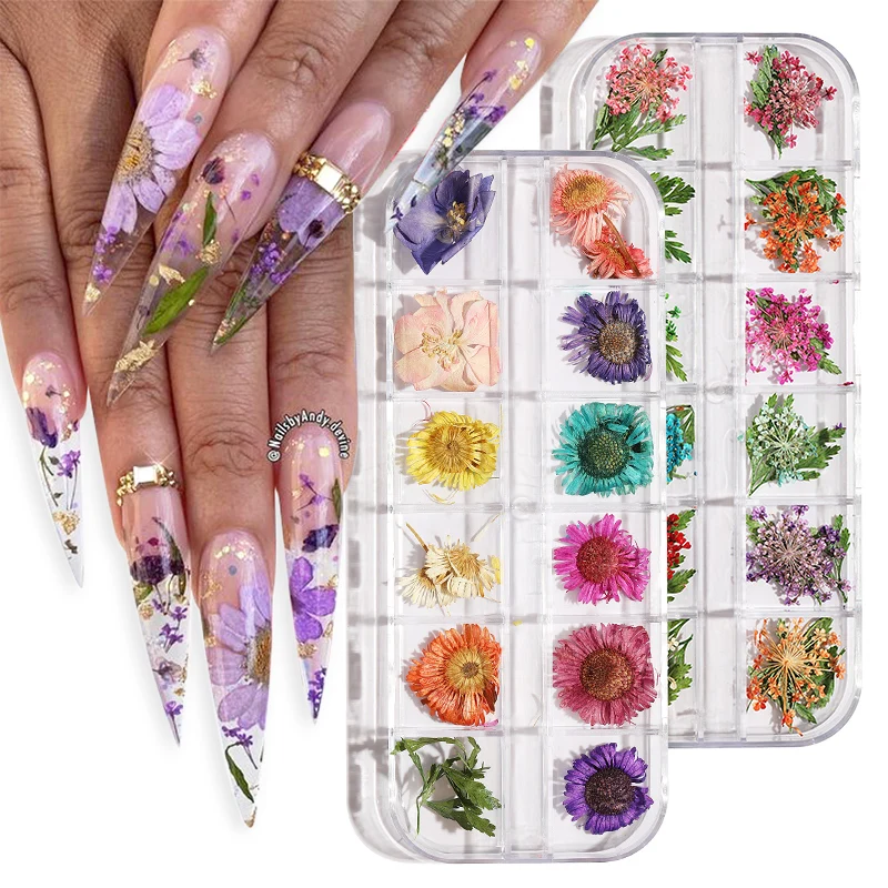 

3D real dry dried flower nail art decoration natural floral sun flower materials diy makeup nail design flowers dry Jewelry, Colorful