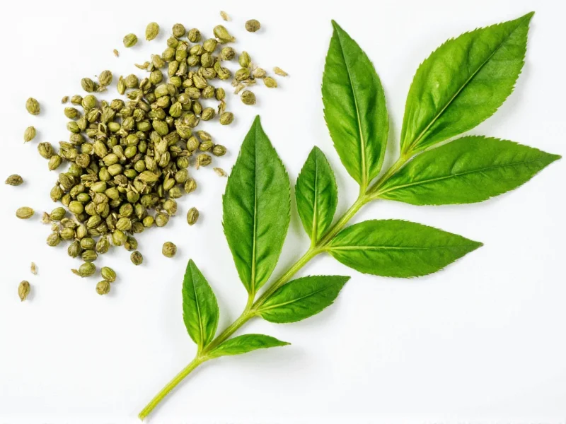 Dry Basil to Fresh Substitution Ratio: Expert Guide