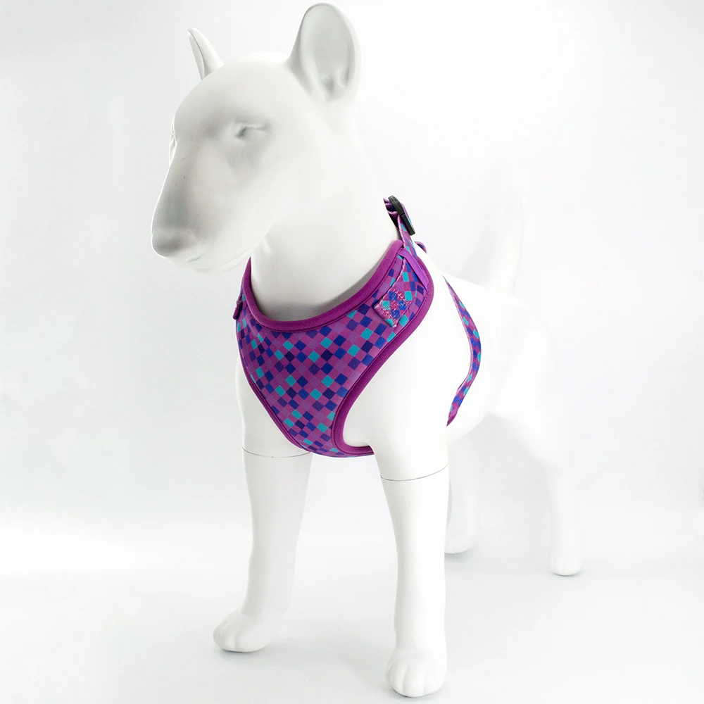 

New Design Comfortable Soft Neoprene Custom Design 2 in 1 No Pull Adjustable Dog Harness Collar Leash Pet Supplies, Customized color