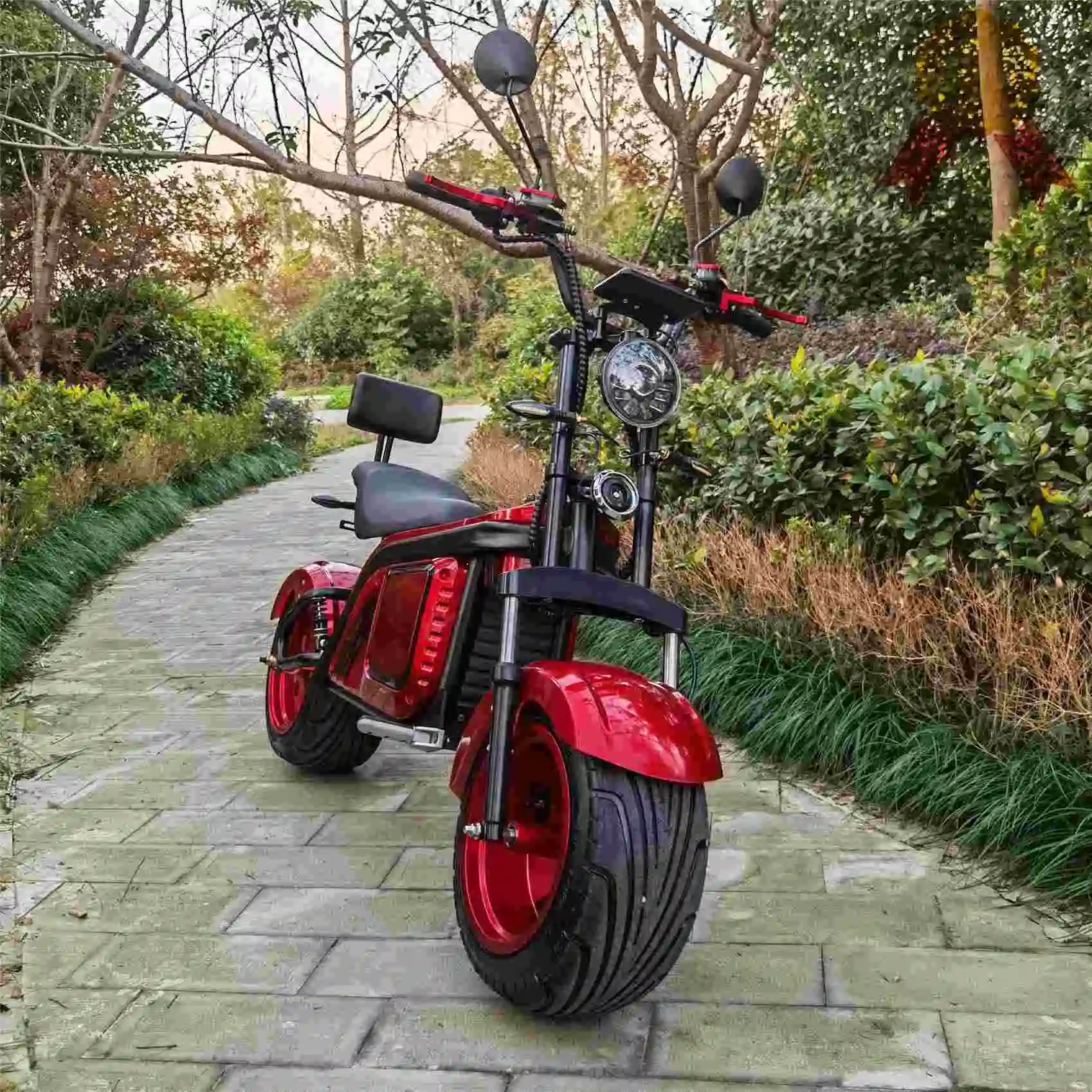 

Professional New Creative 2000W 3000W 4000W 60V Electric Scooter From China Citycoco