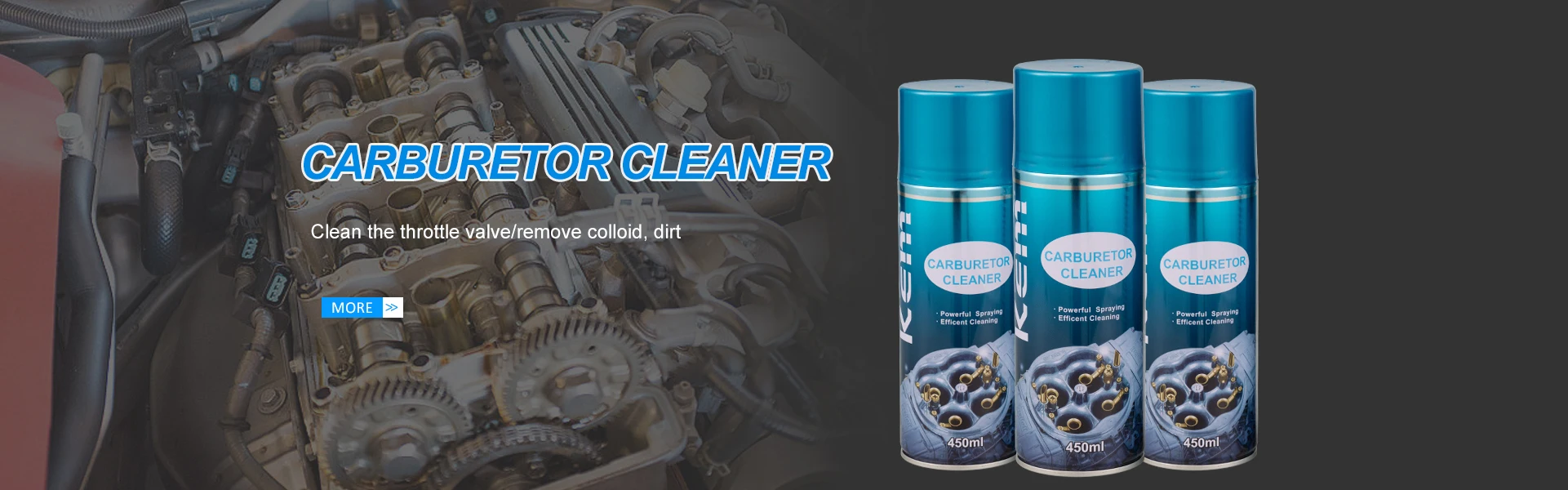 Company Overview Zhongshan Datian Car Care Industry Inc. (China)