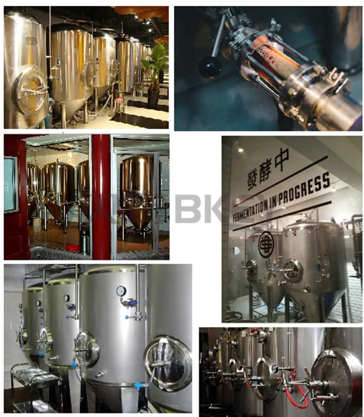 High Quality Commercial Beer Wine Fermentation Tank Equipment Beer Brewing Equipment Making