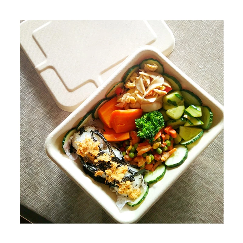 

100% Compostable Bento Food Container Trays With Lids Bagasse Fibers Sugarcane Pulp Paper Lunch Box, Black, white, red, green or customized