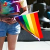 custom fabric rainbow flag lgbt banner hand pole stand polyester wholesale