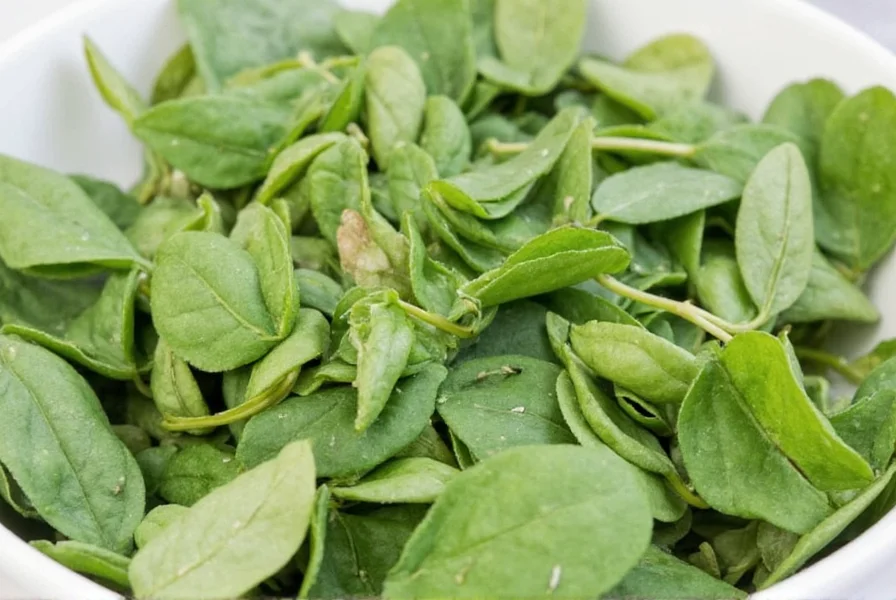 ground bay leaves a spicy secret you ve been missing out on