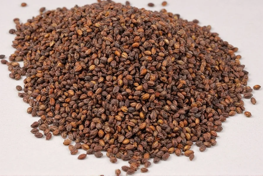 Anise Hyssop Seeds: Planting Guide & Growing Tips