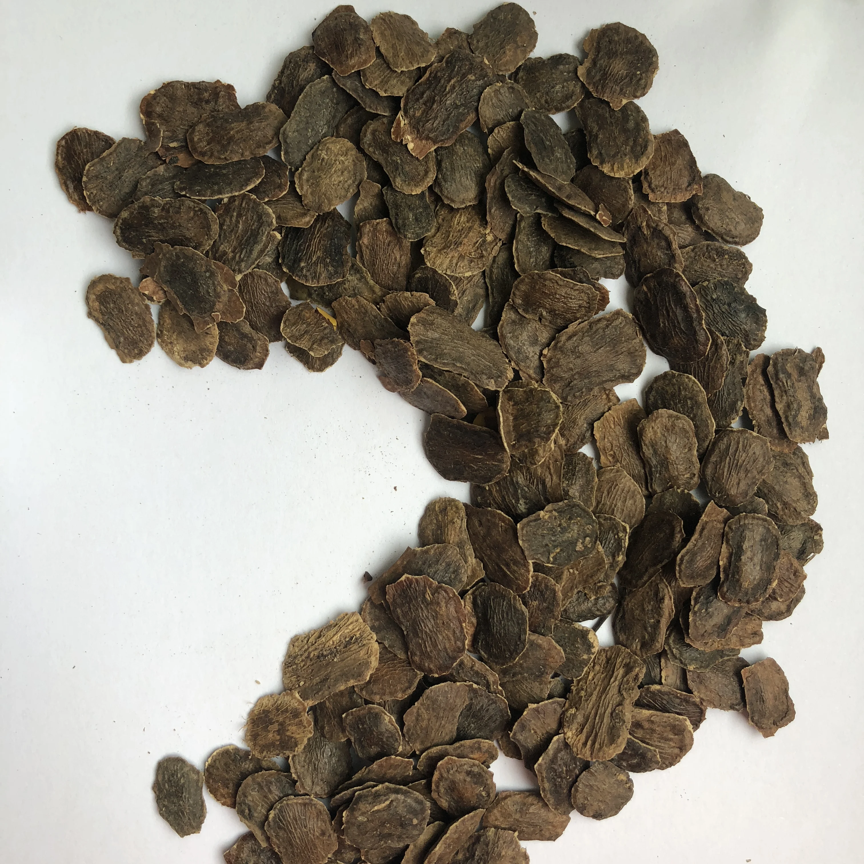 S345 Supply Hai Nan Dalbergia Odorifera Seeds For Planting Buy