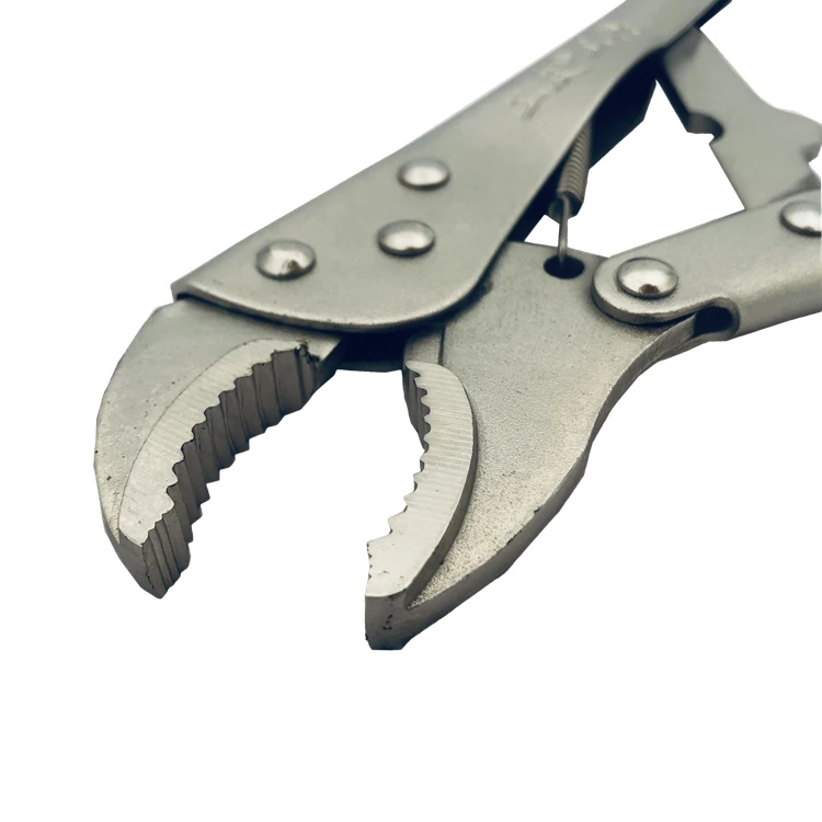 2019-12-23 133851.jpg