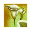 New Design Modern Acrylic Art panels Flower Abstract Calla Lily Oil Painting