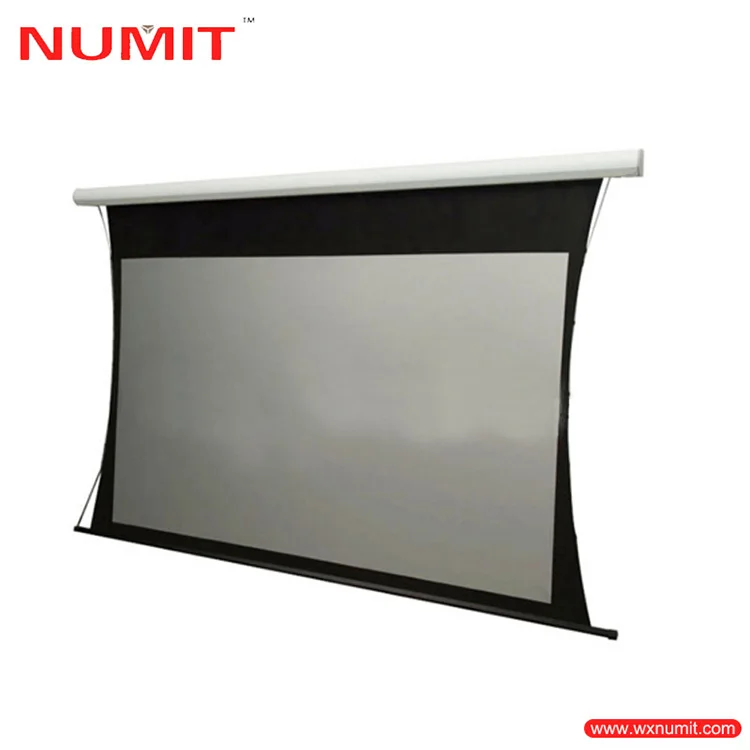 Chinese Suppliers Motorized Tab Tensioned Ceiling Mounted  Projector Screen