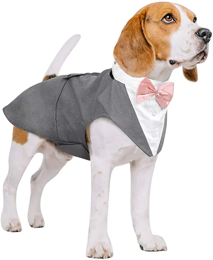 

Dog Tuxedo Suit and Bandana Set Wedding Party Suit Dog Prince Bow Tie Shirt Formal Dog Weeding Attire for Large and Medium