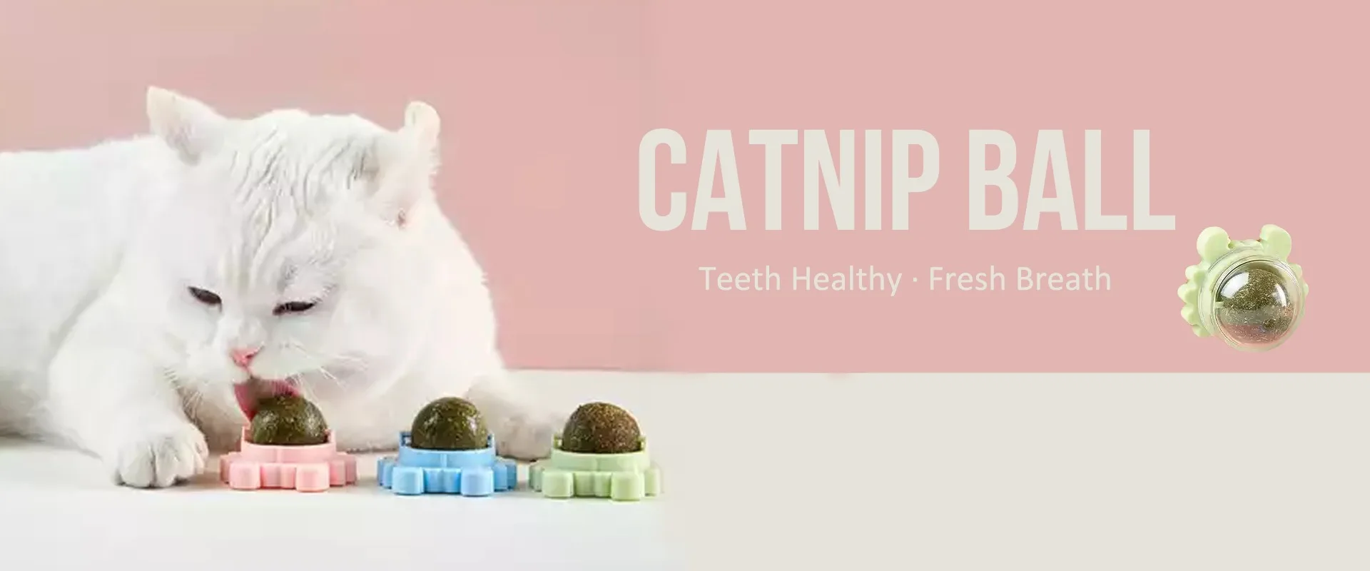 Huzhou Fpt Pet Products Co., Ltd.