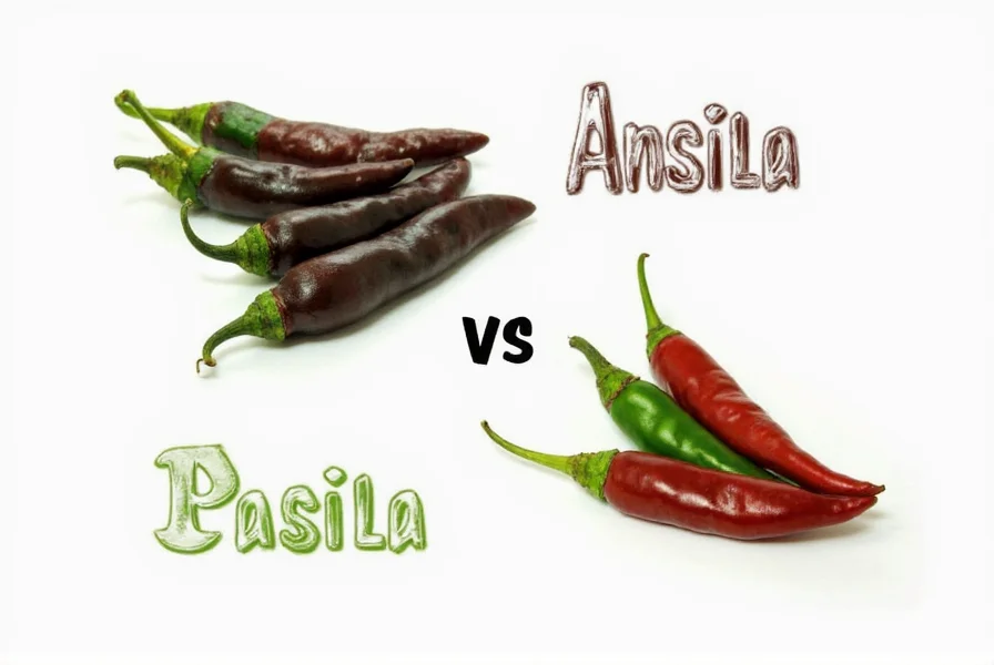 Pasilla and Ancho Chiles