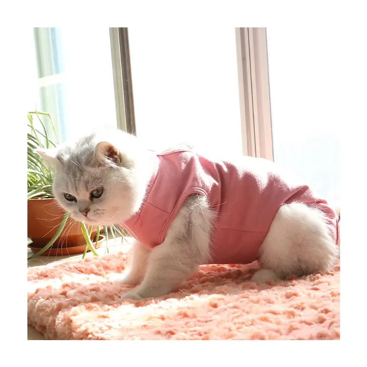 

Customized Portable Lightweight Scratch Prevent Pet Cats and Dogs Clothes, Safe Cotton Portable Pet Cat Dog Leisure Wear, Customized color