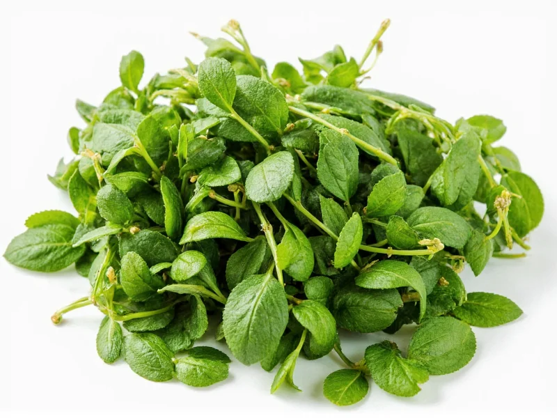 Best Savory Herb Substitutes: Practical Cooking Guide