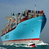 Bicycle / Sneakers / Watch / Human Hair / Jewelry Free Shipping Agent From Guangzhou To Nigeria Freight By Sea And Air