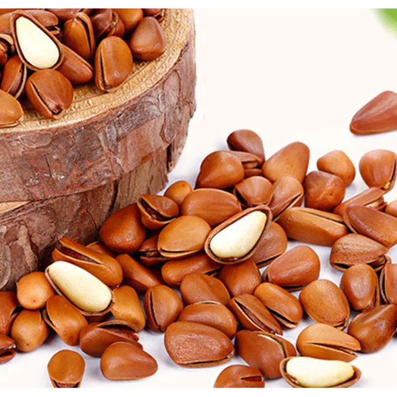 中国工厂直接销售松子壳用便宜的价格