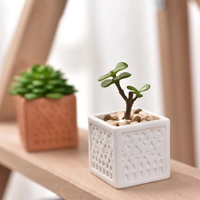 

small mini Indoor embossed Terracotta clay Succulent Planter Plant bonsai Flower Pot for plant with tray home decor, As picture