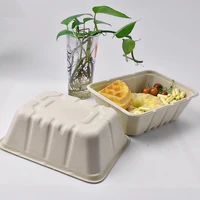 

Bio degradable compostable bamboo sugarcane bagasse microwave safe take away disposable lunch box eco friendly food container