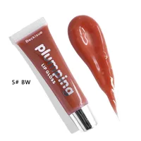 

New Arrival Private Label Shinny Liquid Lipstick Makeup Lipgloss