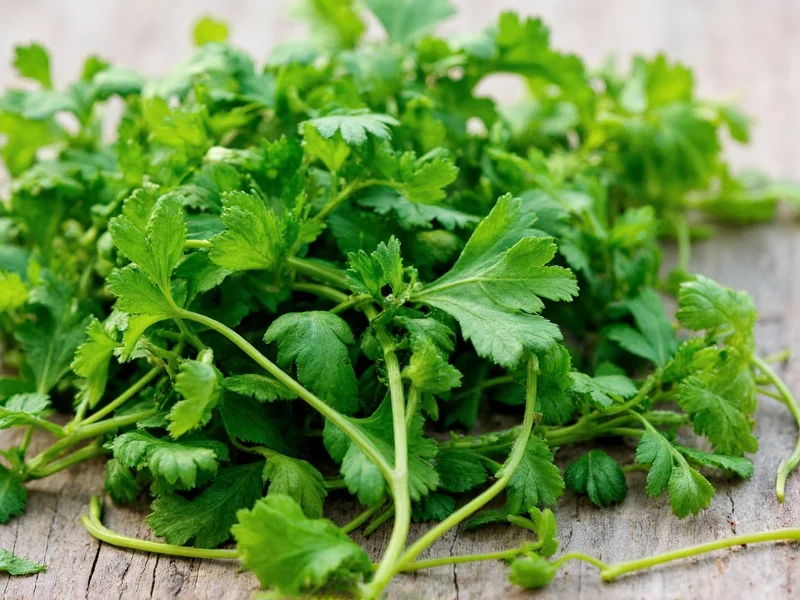 Green Herbs: Identification, Uses & Growing Guide