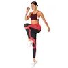 Free Custom LOGO sport bra and yoga pants set women gym wear suit TWO PIECE SET WOMEN CLOTHING ACTIVE LEGGINGS