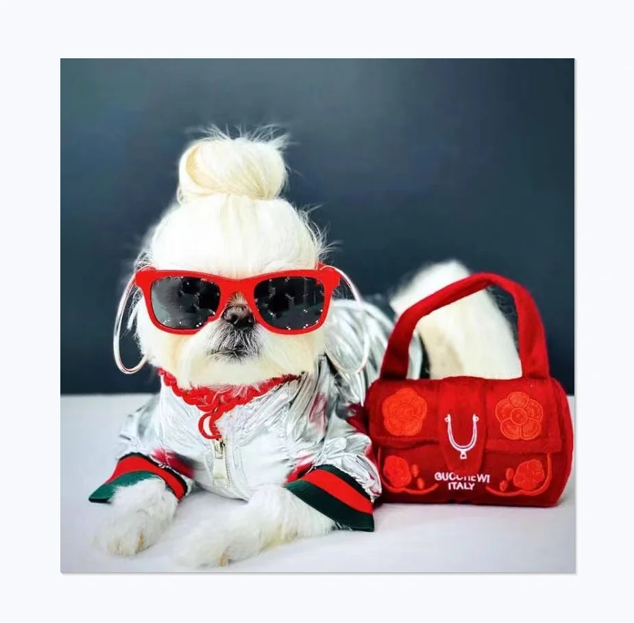 

Trendy Brand Fashion Reflective And Warm Design Waterproof And Windproof Dog Coat