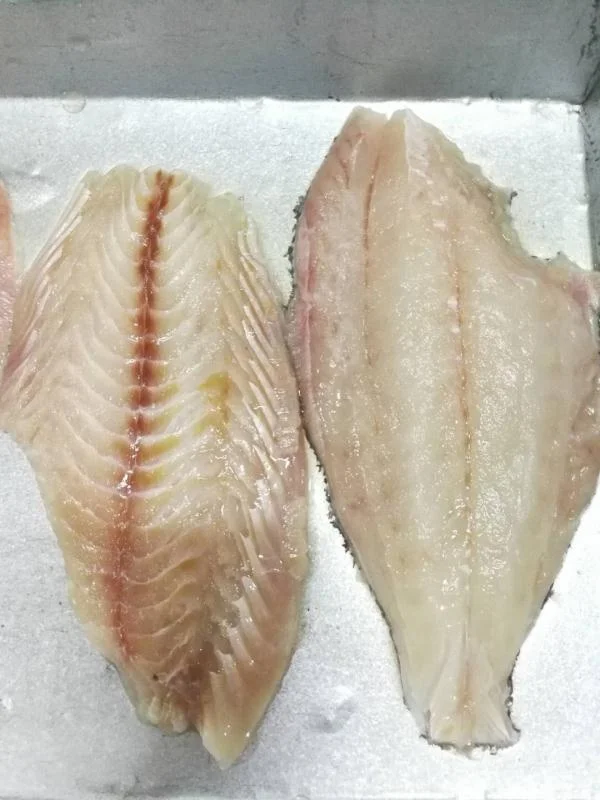 
Good Sale Indonesia Origin Seafood Frozen Halibut WR 